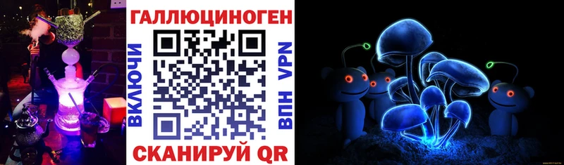 Галлюциногенные грибы MAGIC MUSHROOMS  Карачаевск 